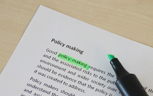policy making